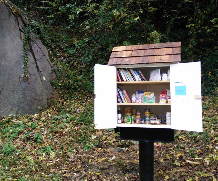 Little Free Library