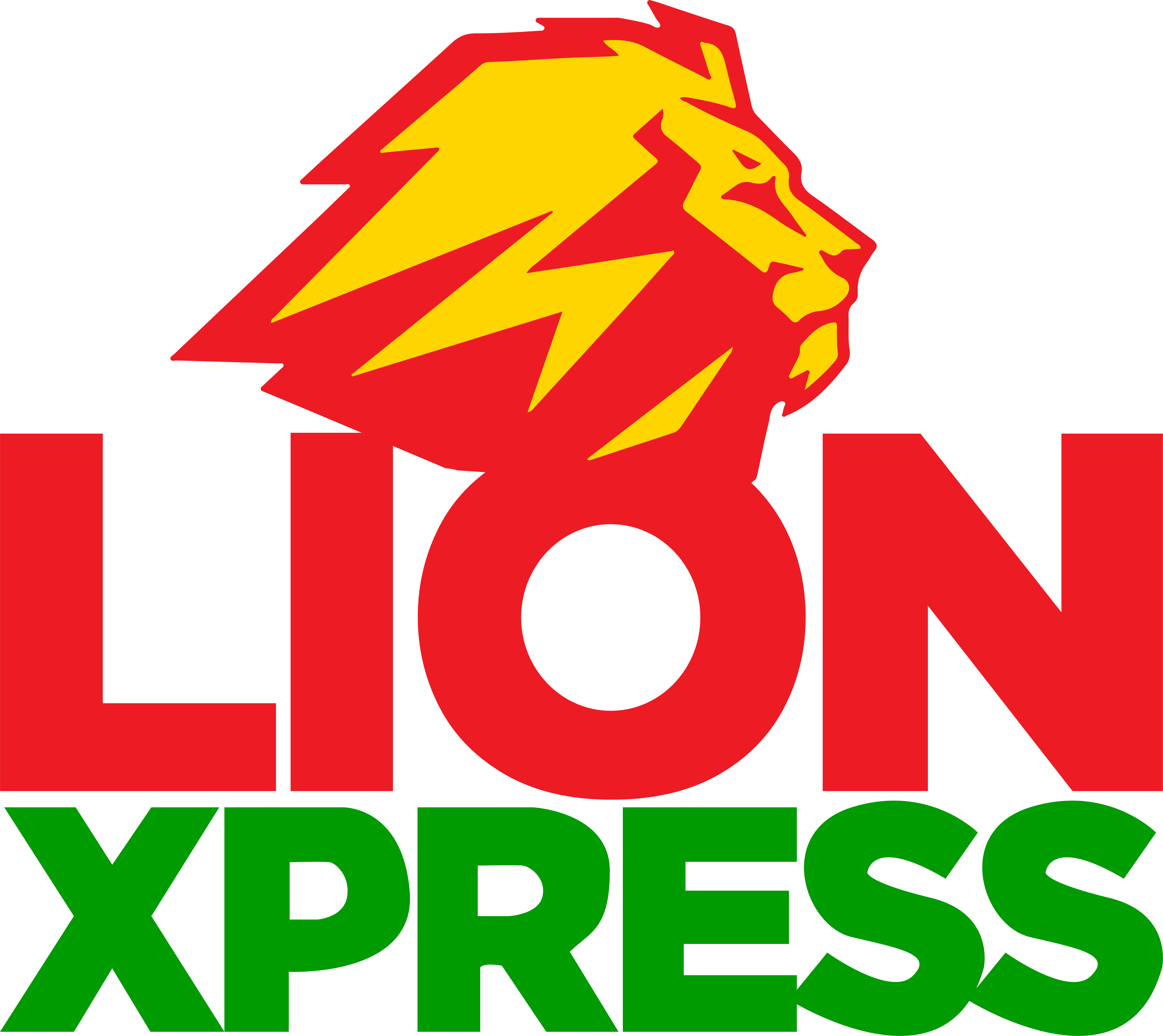 Lion Xpress Logo